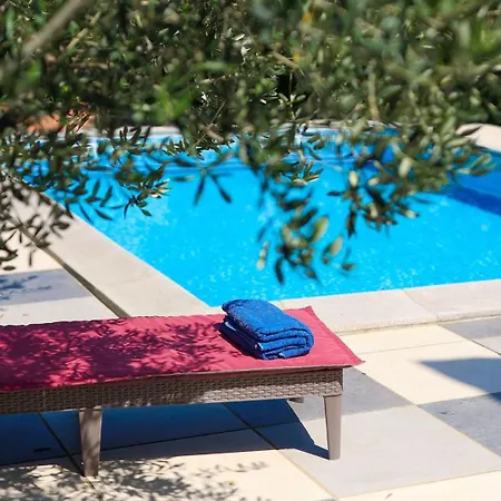 In A Oasis By Guide
