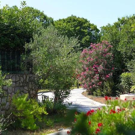 In A Oasis By Guide *